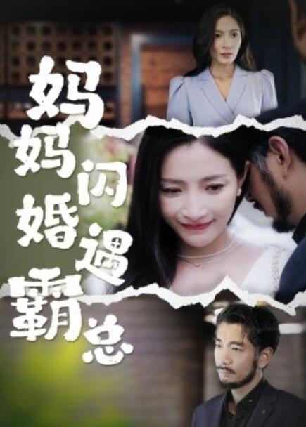 短剧《妈妈闪婚遇霸总（64集全）》免费观看-第1张图片-力界网