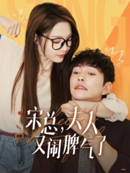 短剧《宋总，夫人又闹脾气了（60集全）》免费观看-第1张图片-力界网