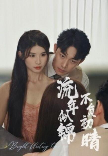 短剧《流年似锦不负初晴（36集全）》免费观看-第1张图片-力界网
