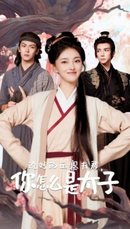 短剧《说好的压寨夫君，你怎么是太子（65集全）》免费观看-第1张图片-力界网