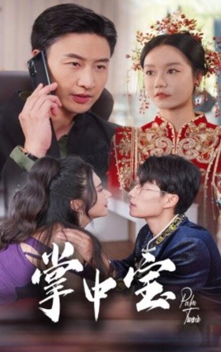 短剧《掌中宝（31集全）》免费观看-第1张图片-力界网
