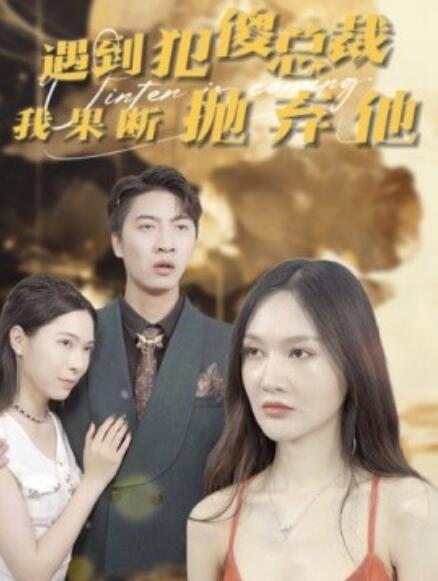 短剧《遇到犯傻总裁我果断抛弃他（30集全）》免费观看-第1张图片-力界网