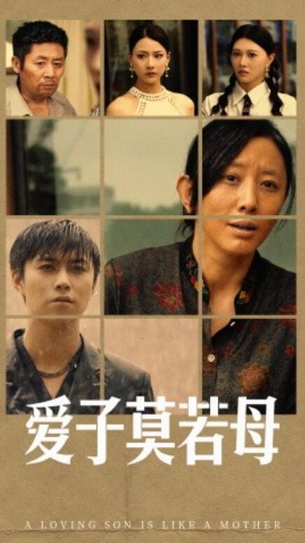 短剧《爱子莫若母（51集全）》免费观看-第1张图片-力界网