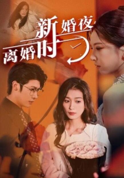 短剧《新婚夜，离婚时（35集全）》免费观看-第1张图片-力界网