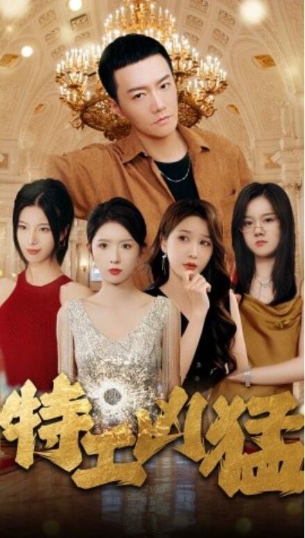 短剧《特工凶猛（95集全）》免费观看-第1张图片-力界网