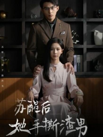 短剧《苏醒后她手撕渣男（63集全）》免费观看-第1张图片-力界网
