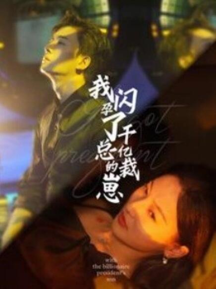 短剧《我闪孕了千亿总裁的崽（87集全）》免费观看-第1张图片-力界网