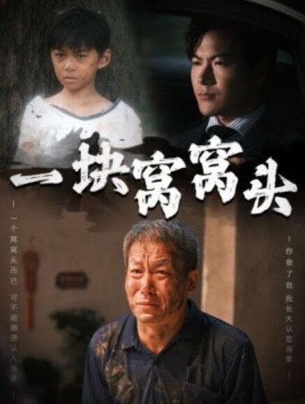 短剧《一块窝窝头（儿子患癌以后）60集全》免费观看-第1张图片-力界网