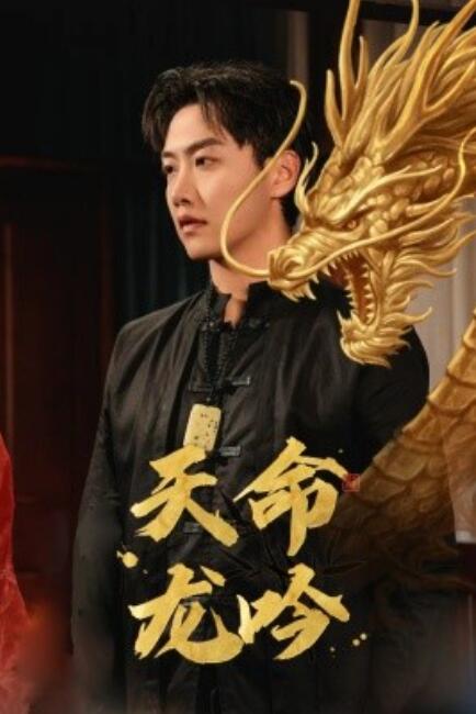 短剧《天命龙吟（48集全）》免费观看-第1张图片-力界网