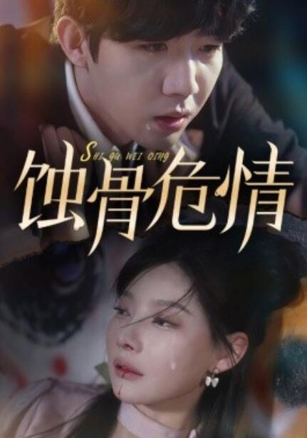 短剧《蚀骨危情（81集全）》免费观看-第1张图片-力界网