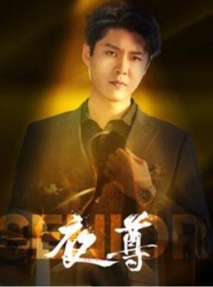 短剧《夜尊（95集全）》免费观看-第1张图片-力界网