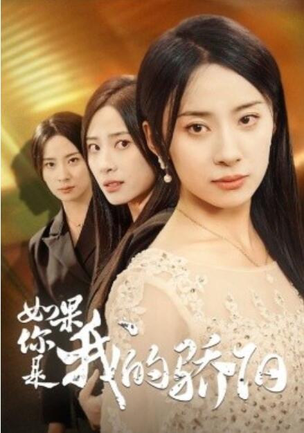 短剧《如果你是我的骄阳（30集全）》高清免费在线观看-第1张图片-力界网