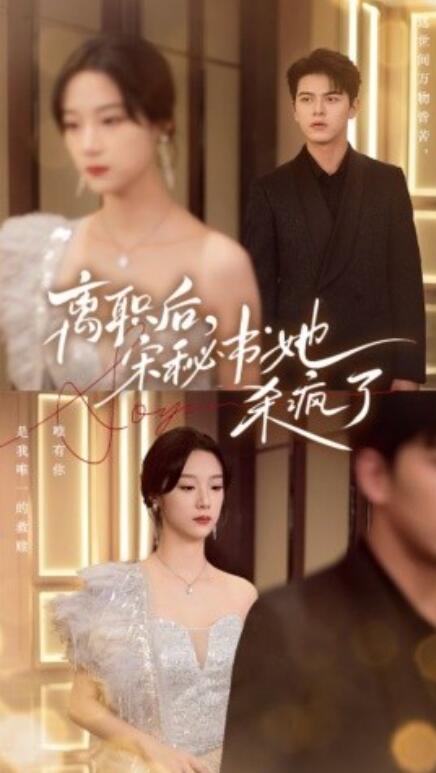 短剧《离职后，宋秘书她杀疯了（71集全）》免费在线观看-第1张图片-力界网