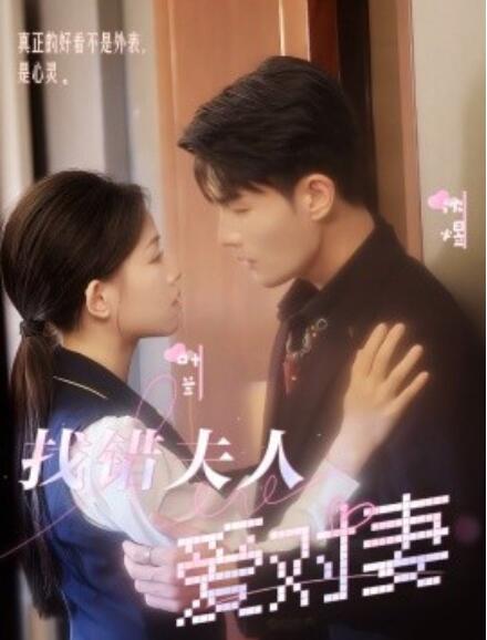 短剧《找错夫人爱对妻（36集全）》免费在线观看-第1张图片-力界网