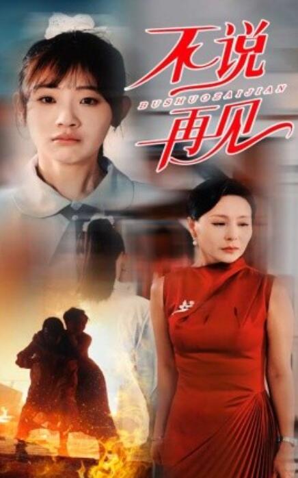 短剧《不说再见（31集全）》高清免费在线观看-第1张图片-力界网