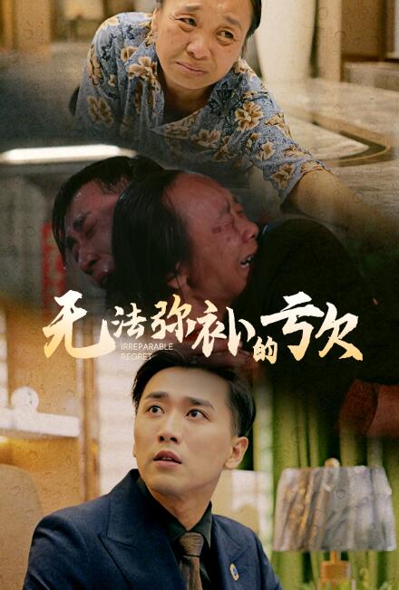 短剧《无法弥补的亏欠（59集全）》免费在线观看-第1张图片-力界网