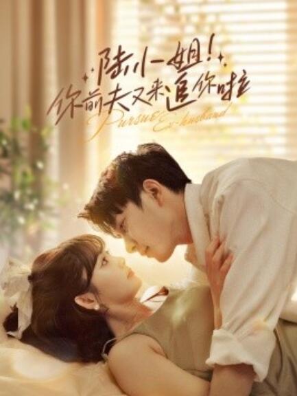 短剧《陆小姐！你前夫又来追你啦（1-67集）》全集免费在线观看-第1张图片-力界网