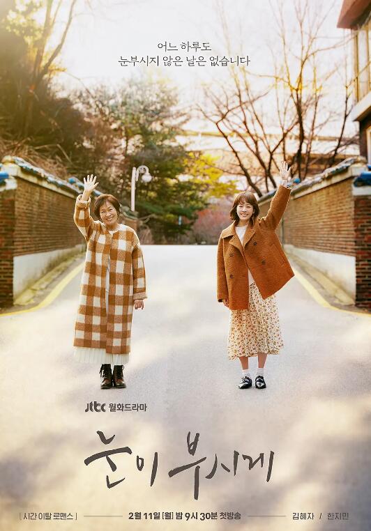 韩剧《耀眼(12集全)》高清HD1080p完整版在线免费观看-第1张图片-力界网 韩剧《耀眼(12集全)》高清HD1080p完整版在线免费观看-第1张图片-力界网
