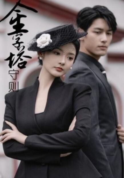 短剧《金字塔守则（1-66集）》全集免费在线观看-第1张图片-力界网