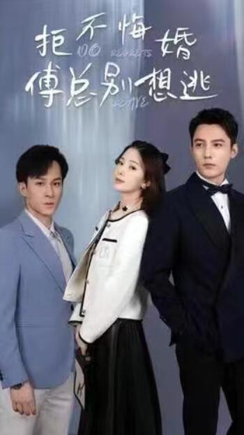 短剧《拒不悔婚，傅总别想逃（75集全）》免费在线观看-第1张图片-力界网