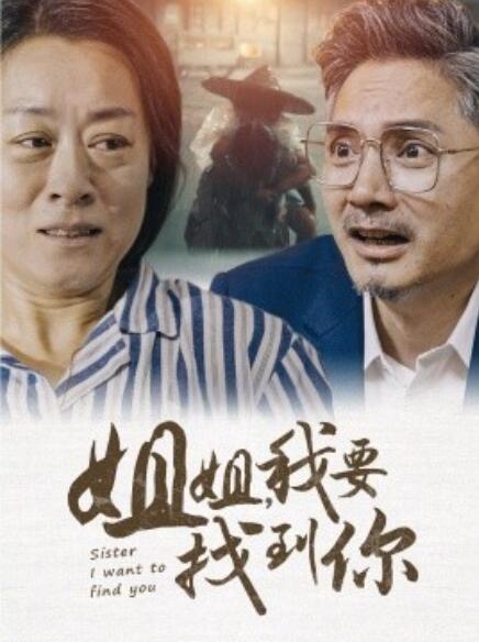 短剧《姐姐我要找到你（1-58集）》全集免费在线观看-第1张图片-力界网
