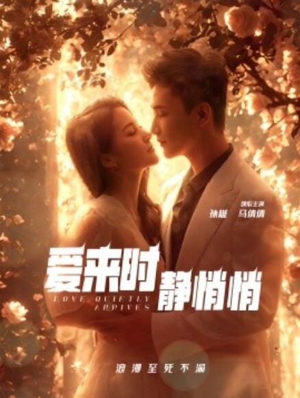 短剧《爱来时静悄悄（1-104集）》全集免费在线观看-第1张图片-力界网