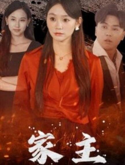 短剧《家主（1-35集）》全集高清免费在线观看-第1张图片-力界网