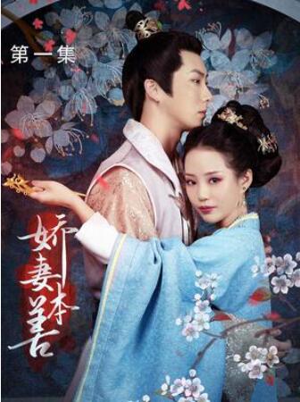 短剧《娇妻本善（1-22集）》全集免费在线观看-第1张图片-力界网
