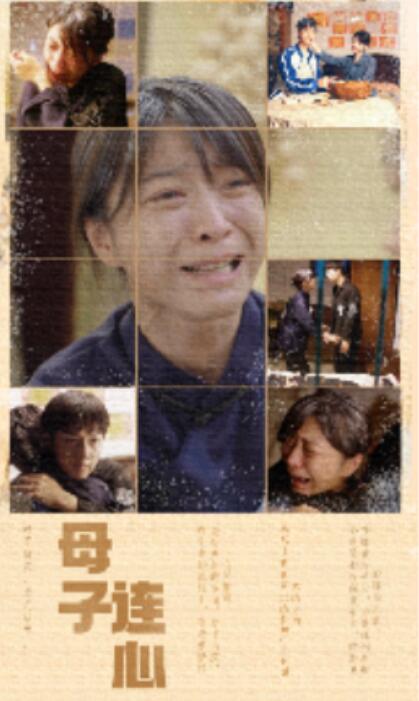 短剧《母子连心（1-70集）》全集免费在线观看-第1张图片-力界网