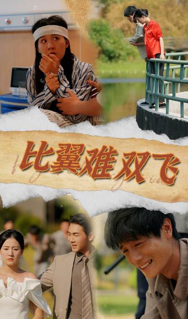 短剧《比翼难双飞（1-30集）》全集免费在线观看-第1张图片-力界网