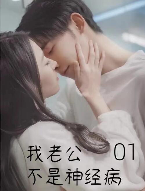 短剧《我老公不是神经病（1-90集）》全集免费在线观看-第1张图片-力界网