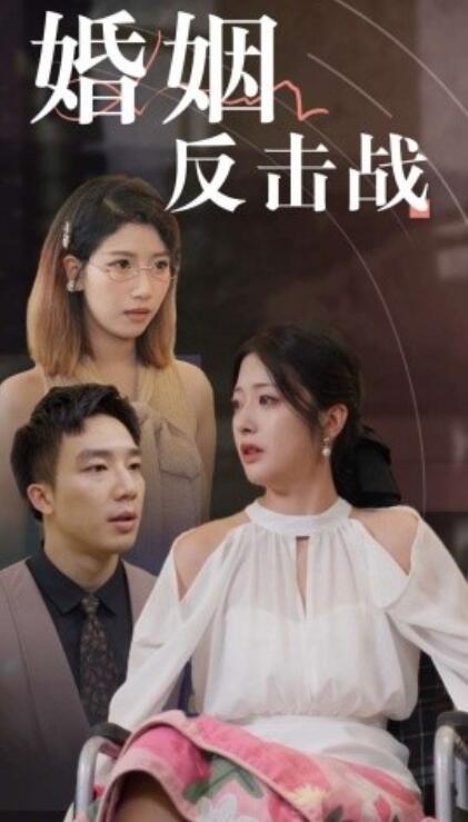 短剧《婚姻反击战（1-40集）》全集免费在线观看-第1张图片-力界网