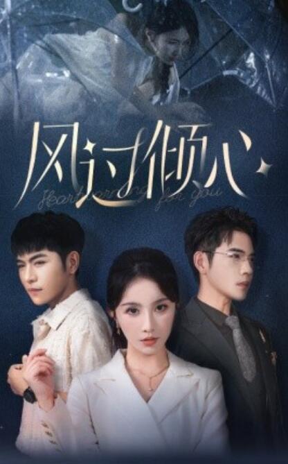 短剧《风过倾心（1-62集）》全集免费在线观看-第1张图片-力界网