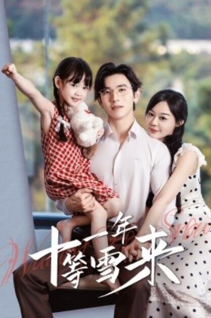 短剧《十一年等雪来（1-50集）》全集免费在线观看-第1张图片-力界网