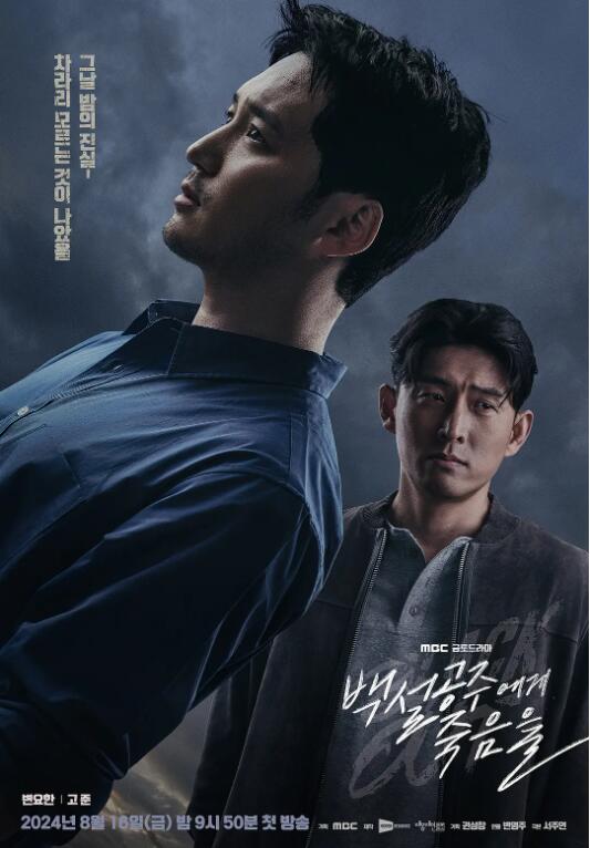 韩剧《白雪公主必须死-BLACK OUT(16集全)》高清HD1080p完整版在线免费观看-第1张图片-力界网 韩剧《白雪公主必须死-BLACK OUT(16集全)》高清HD1080p完整版在线免费观看-第1张图片-力界网