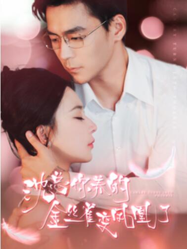 短剧《沈总你养的金丝雀变凤凰了（1-100集）》全集免费在线观看-第1张图片-力界网