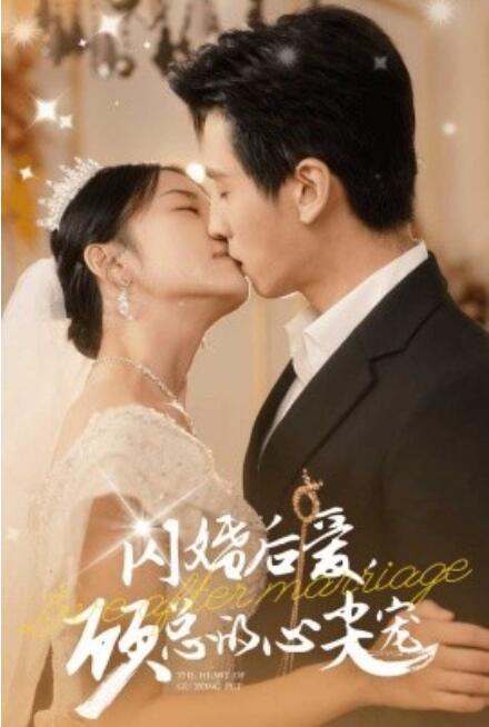短剧《闪婚后爱顾总的心尖宠（1-45集）》全集免费在线观看-第1张图片-力界网