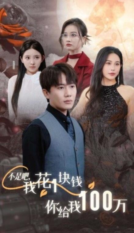 短剧《不是吧，我花1块钱你给我100万（24小时我百倍返现）37集全》免费观看-第1张图片-力界网
