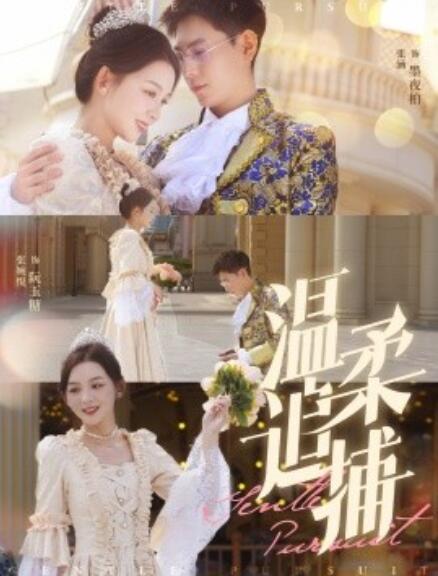 短剧《温柔追捕（1-89集）》全集免费在线观看-第1张图片-力界网