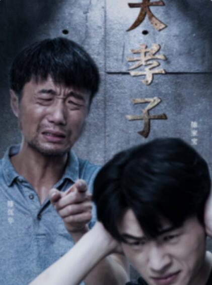 短剧《大孝子（1-60集）》全集免费在线观看-第1张图片-力界网
