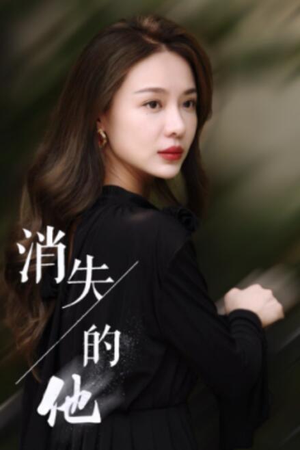短剧《消失的他（1-30集）》全集免费在线观看-第1张图片-力界网