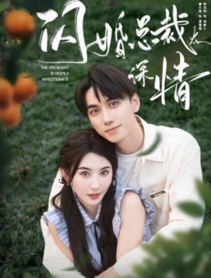 短剧《闪婚总裁太深情（1-93集）》全集免费在线观看-第1张图片-力界网