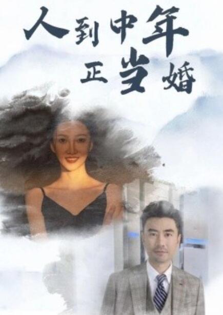 短剧《人到中年正当婚（1-81集）》全集免费在线观看-第1张图片-力界网