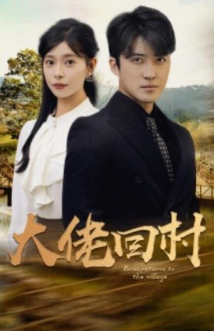 短剧《大佬回村（1-70集）》全集免费在线观看-第1张图片-力界网