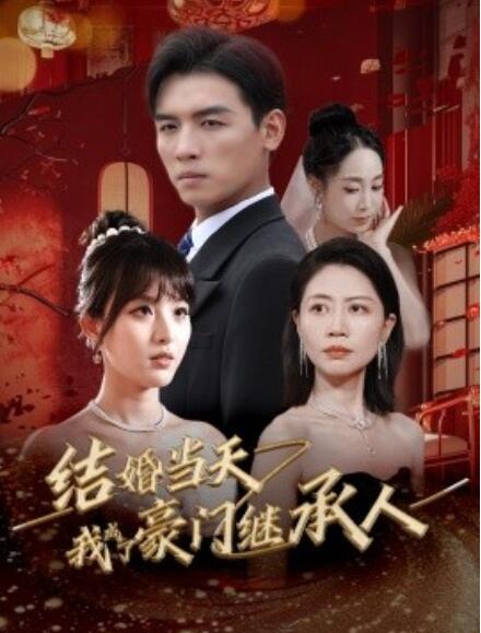短剧《结婚当天我成了豪门继承人（1-53集）》全集免费在线观看-第1张图片-力界网