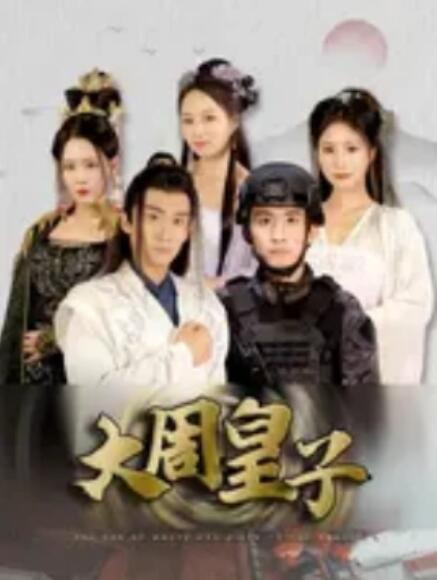 短剧《大周皇子（1-64集）》全集免费在线观看-第1张图片-力界网