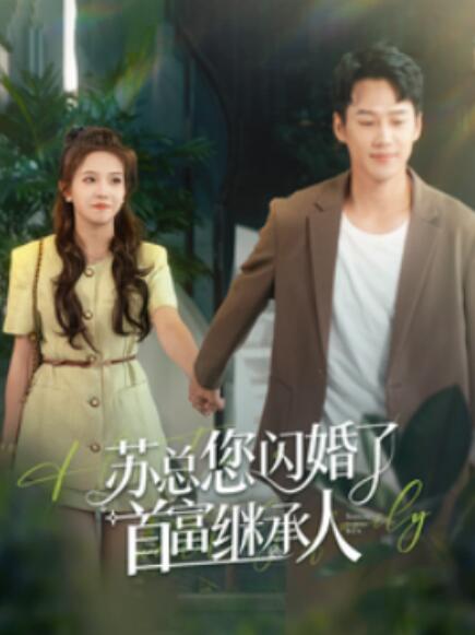 短剧《苏总您闪婚了首富继承人（1-100集）》全集免费在线观看-第1张图片-力界网