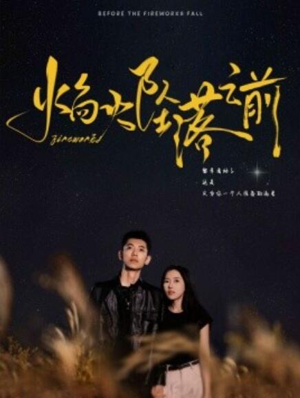 短剧《焰火坠落之前（1-99集）》全集免费在线观看-第1张图片-力界网