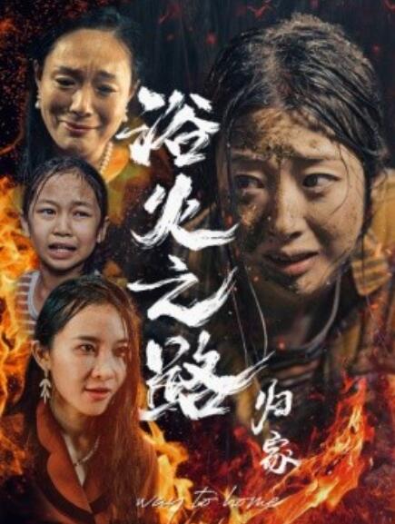 短剧《浴火之路归家（1-34集）》全集免费在线观看-第1张图片-力界网
