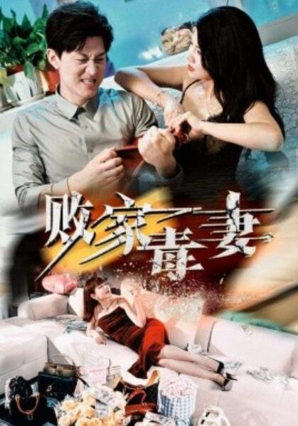 短剧《败家毒妻（1-32集）》全集免费在线观看-第1张图片-力界网